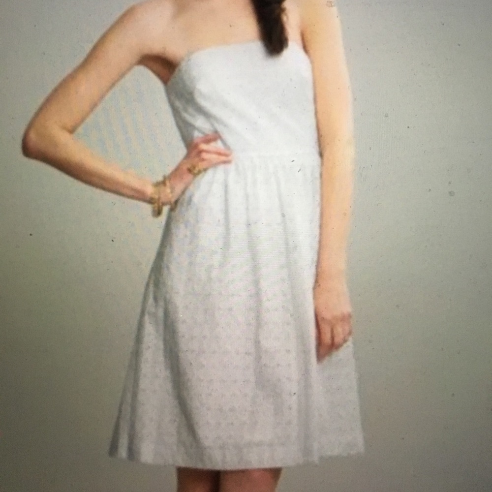 Fit & Flare GAP Strapless Cotton Eyelet Lace Dress